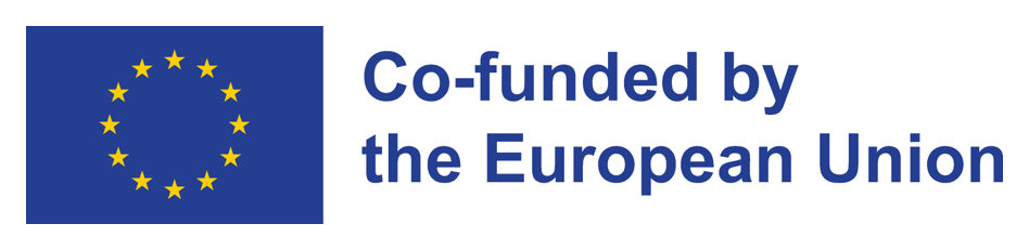 Co-funded by the European Union